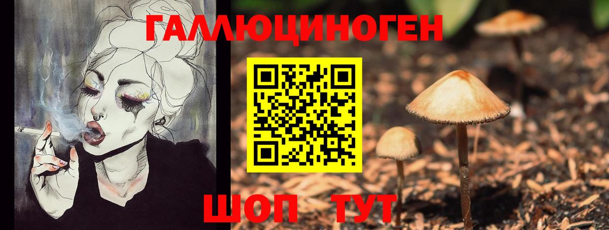 Каменск-Уральский  Галлюциногенные грибы GOLDEN TEACHER  Вход с VPN 