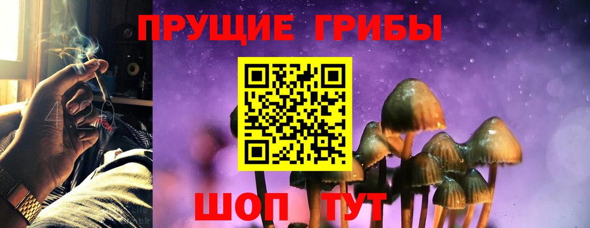 Галлюциногенные грибы GOLDEN TEACHER Каменск-Уральский